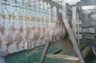 1000birds/h poultry slaughtering line