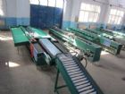 double lines automatic fruit grading machine