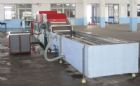 Mango Warm Water Processing Equipment