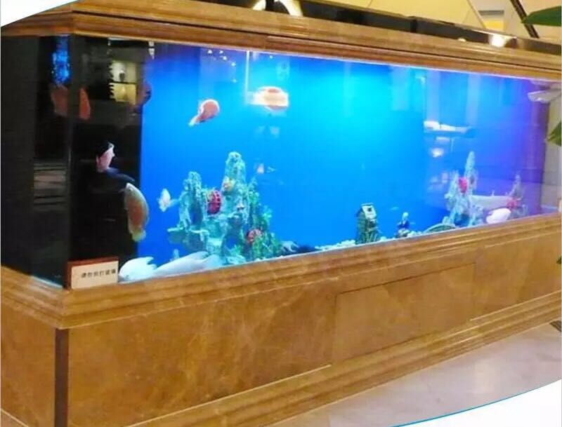 Fish Aquarium,Fish Aquarium