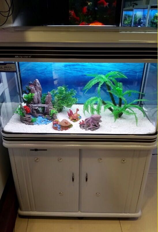 Fish Aquarium,Fish Aquarium